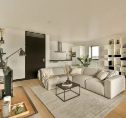 Online Austria Binnendeur - Fertig - Schwarz - Hoogwaardig afgelakt zwart