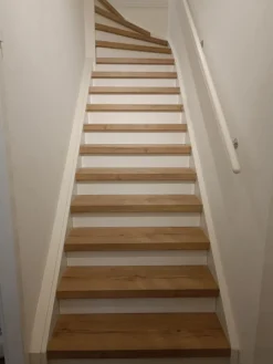 Hot CanDo Overzettrede met neus - Laminaat - Licht eiken