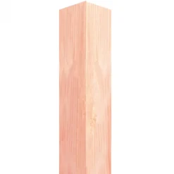 Discount Elephant Paal Douglas 90 x 90 mm gezaagd