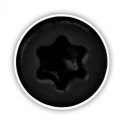 New Deckwise Schroeven 4 x 38 - RVS platte kop T15 - Zwart (100 stuks)