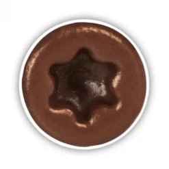 Hot Deckwise Schroeven 4 x 79 - RVS platte kop T15 - Bruin (100 stuks)