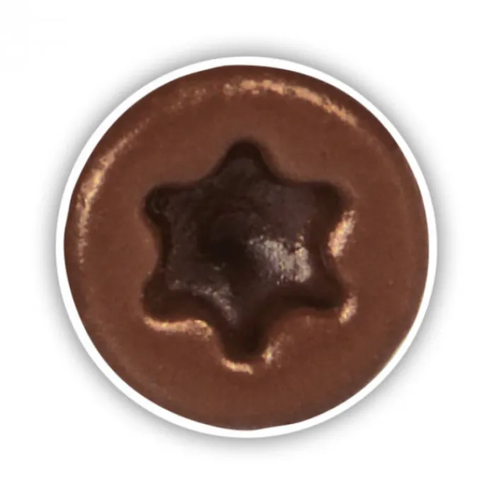 Hot Deckwise Schroeven 4 x 79 - RVS platte kop T15 - Bruin (100 stuks)