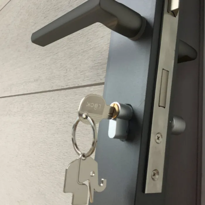 Elephant Tuindeur composiet Forte betongrijs incl. slot en antraciet aluminium kader (90 x 180 cm)